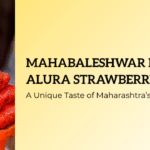 Mahabaleshwar Kaswand Alura Strawberry Wines